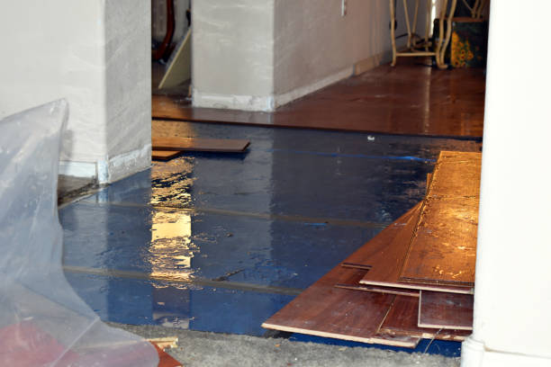 Professional Basement Flood Cleanup technician working in Crystal Beach, FL